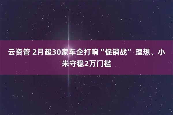 云资管 2月超30家车企打响“促销战” 理想、小米守稳2万门槛