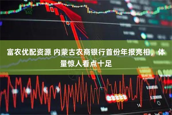 富农优配资源 内蒙古农商银行首份年报亮相，体量惊人看点十足