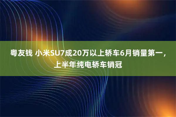 粤友钱 小米SU7成20万以上轿车6月销量第一,上半年纯电轿车销冠